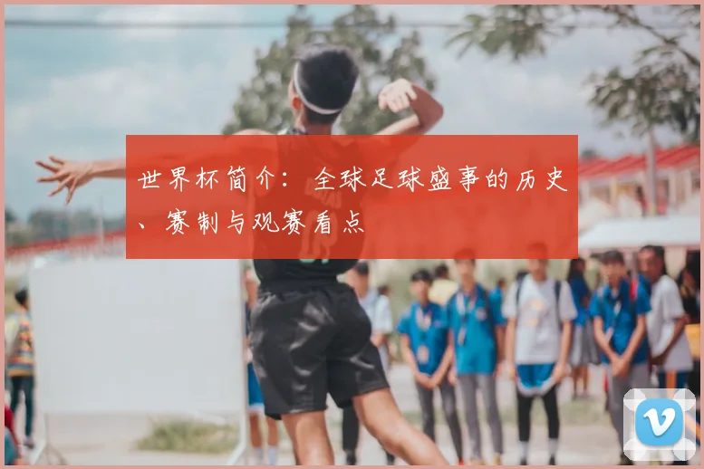 世界杯简介:全球足球盛事的历史、赛制与观赛看点
