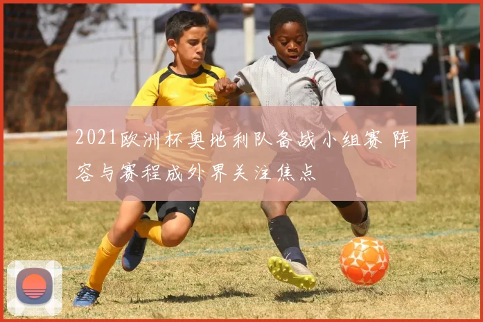 2021欧洲杯奥地利队备战小组赛 阵容与赛程成外界关注焦点