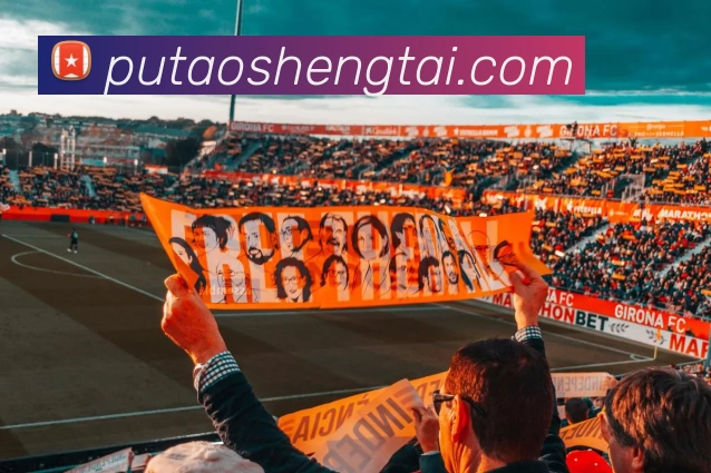 冠竞体育官网平台生态图